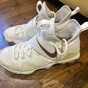 Nike x LeBron 14 Wine Men’s 10 (no box)